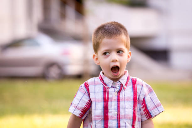 istock Young boy playing in the park with open mouth 638600878