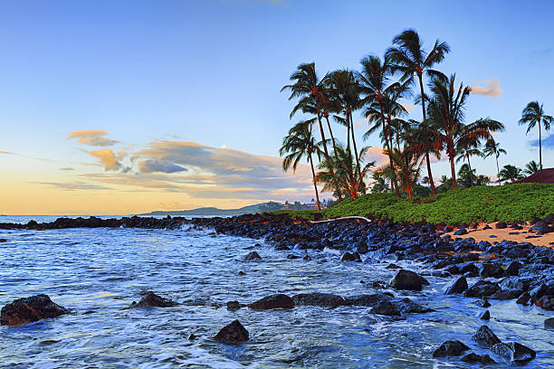 istock Kauai beach in the morning 638601002