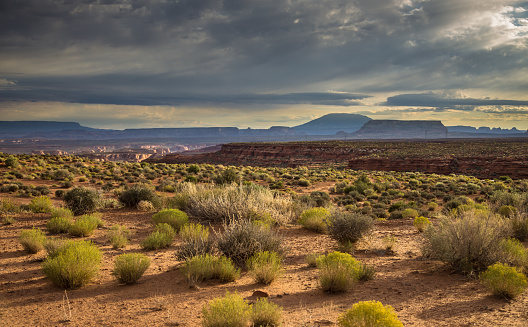 Wide Arizona landscape, taken at the edge of a canyon near Page.