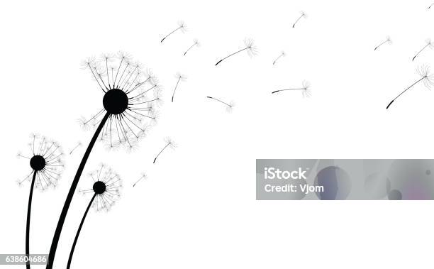 White Background With Dandelions Stock Illustration - Download Image Now - Dandelion, Wind, Flower