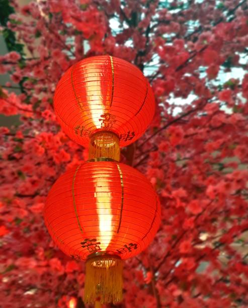 istock Chinese New Year lantern or Tung Lung 638605862