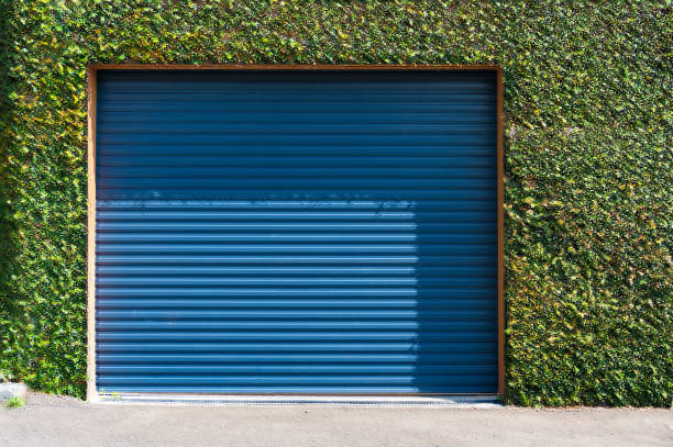 istock Green grass wall with garage door 638606004