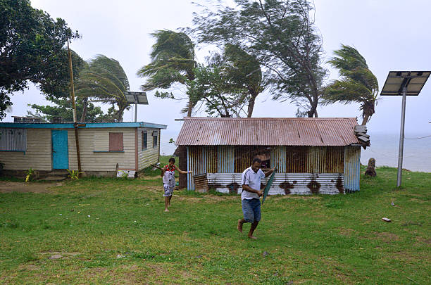 i figi corrono al rifugio in un ciclone tropicale - cyclone foto e immagini stock