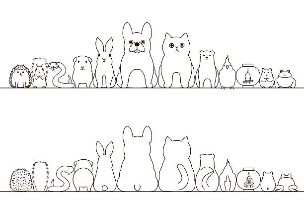 ilustrações de stock, clip art, desenhos animados e ícones de pet animals border set, front view and rear view, line art - animal tongue