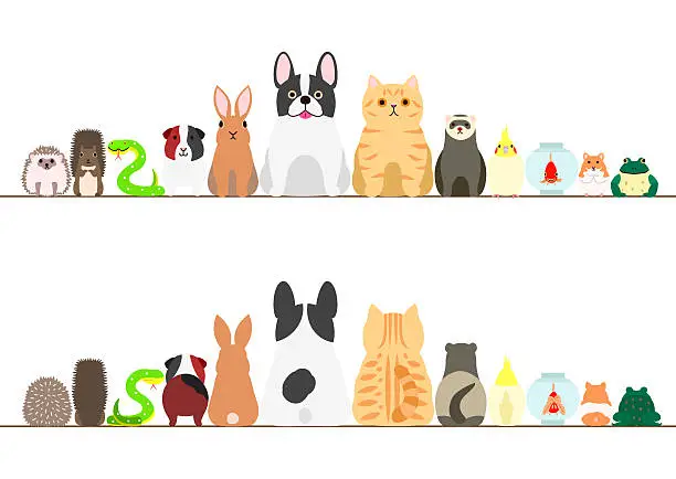 Vector illustration of pet animals border set, front view and rear view