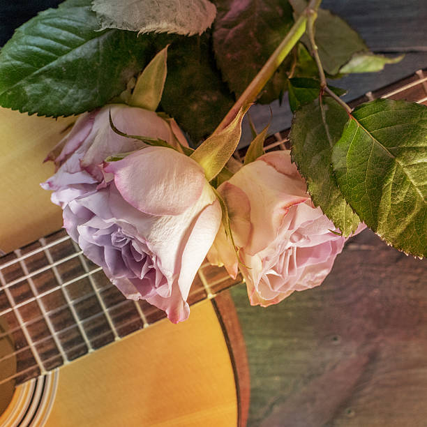 istock Guitar neck with tender pink roses on dark background 638611926