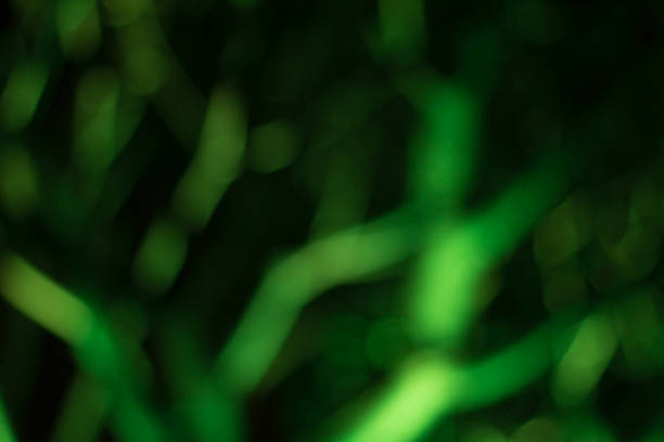 istock Blurred image of festive lights 638612026
