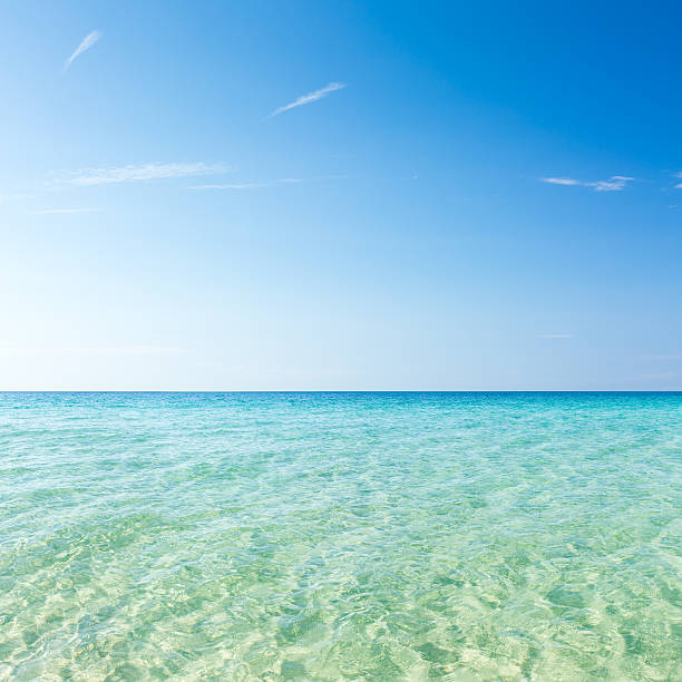 istock Shallow Water of Tropical Ocean 638616010