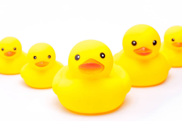 istock yellow rubber duck on white background. 638618840