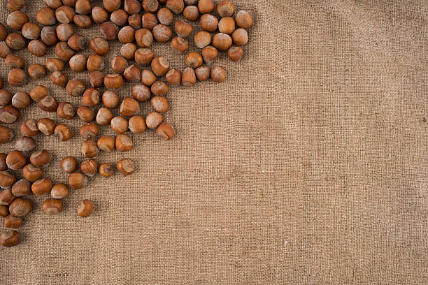 istock Natural hazelnuts on the background of old sacking. 638620530