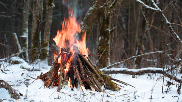 istock big Campfire in the winter forest closeup 638620908