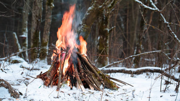 istock big Campfire in the winter forest closeup 638621114