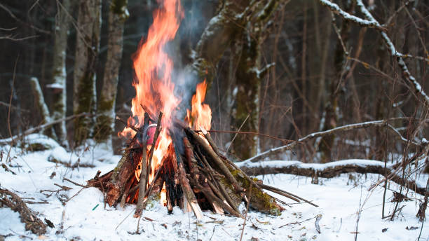 istock big Campfire in the winter forest closeup 638621164