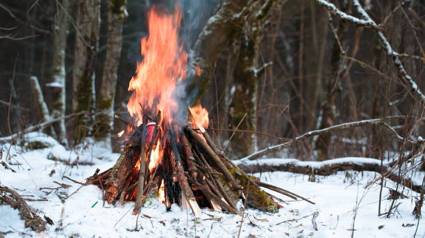 istock big Campfire in the winter forest closeup 638621228