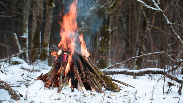 istock big Campfire in the winter forest closeup 638621288