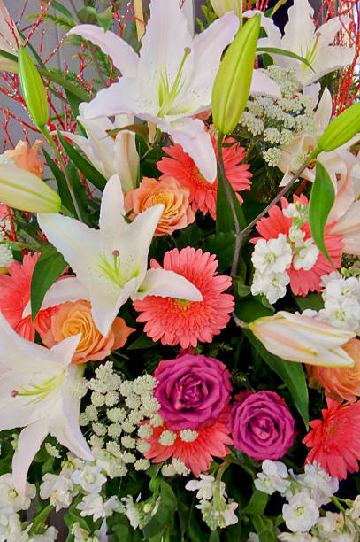 istock Glossy and graceful, gorgeous flowers 638621644