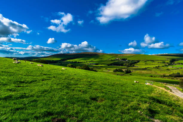 istock Farm On English Countryside 638632538