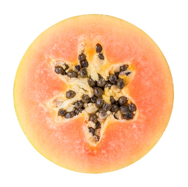 istock papaya isolated on white background 638634106