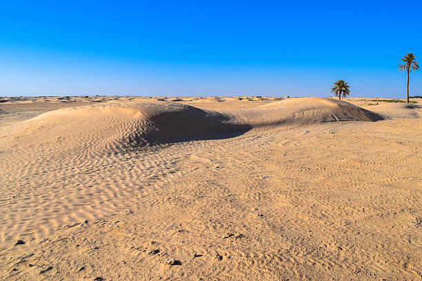 istock Sahara - the Greatest Desert. World's largest hot desert 638636328
