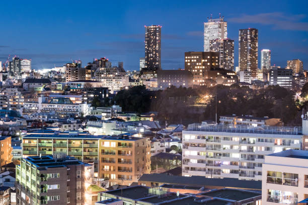 istock Tokyo Skyline at Blue Hour 638636654