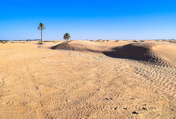 istock Sahara - the Greatest Desert. World's largest hot desert 638636754