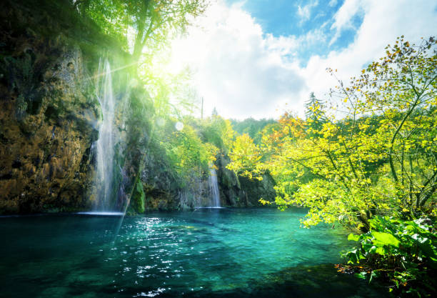 istock waterfall in forest, Plitvice Lakes, Croatia 638637960
