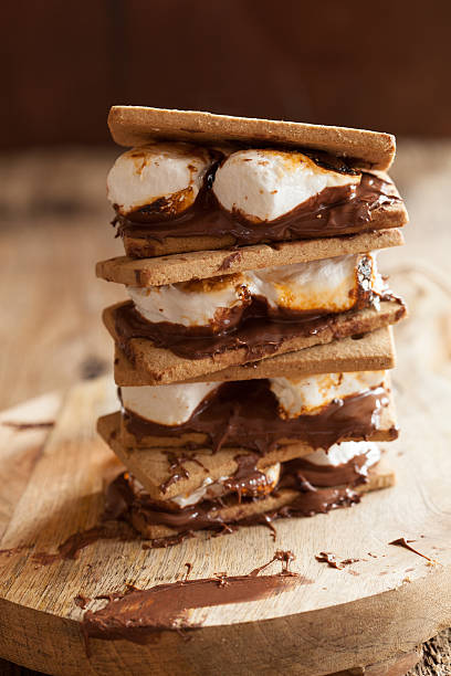 istock homemade marshmallow s'mores with chocolate on crackers 638639274