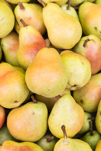 istock Group of fresh yellow pears 638639758