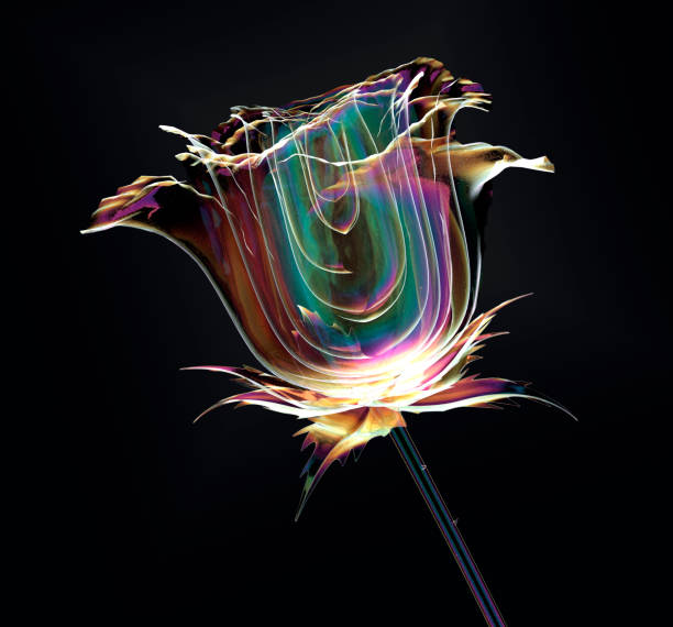 istock color glass flower isolated on black , the rose 638640372