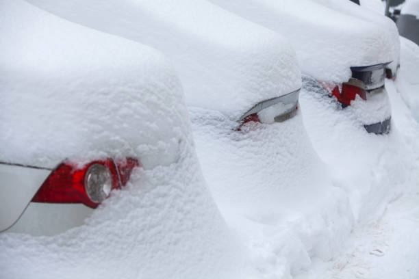 istock Row of snow-covered cars 638642416