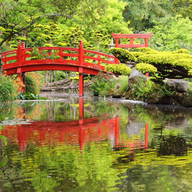 istock Red bridge in Japanese garden 638642936