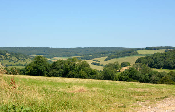 South Downs countryside at Goodwood, England