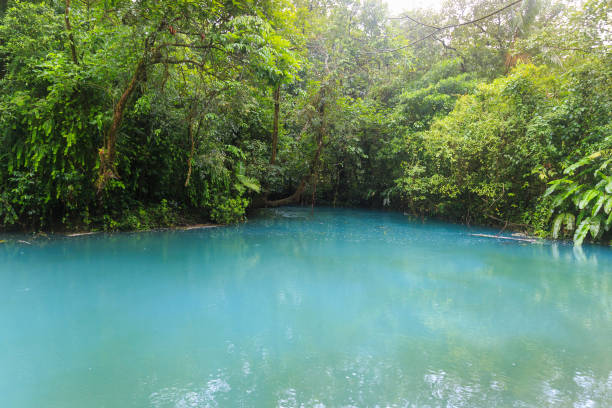 istock Rio celeste river at foggy day 638647870
