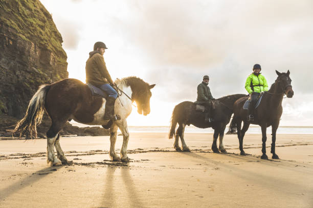 istock People with horses on the beach on a cloudy day 638650656