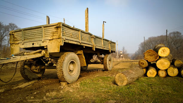 Harvesting of tree trunks on the grass outside the city near the trailer