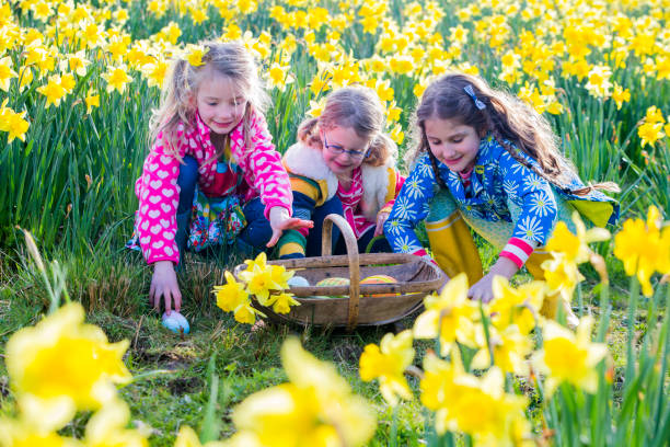 osterei jagen - daffodil flower spring easter egg stock-fotos und bilder