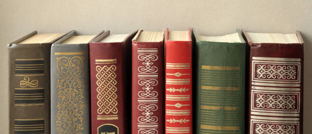 istock Covers of books standing on a shelf in the library 638656218