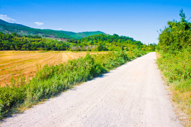 istock Tipical Tuscany country road called 