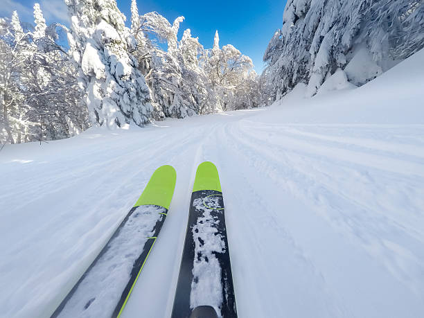 istock POV of a skier going down on fresh snow 638660316
