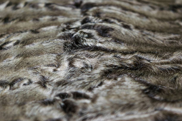 a pele é textura de pele de cordeiro karakul de prata, fundo - lamb softness fur wool - fotografias e filmes do acervo