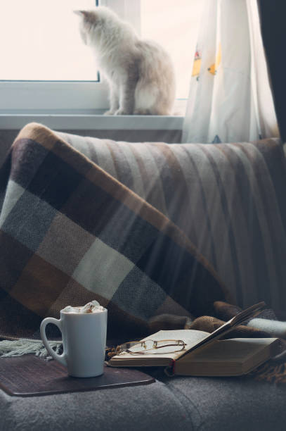 マーマレードの本とホットコーヒーのカップは、毛布を指しています - knitting residential structure glasses hot drink ストックフォトと画像
