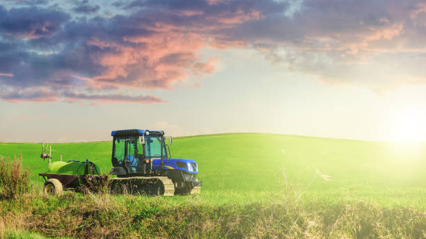 istock Tractor in the summer sunny day on a green field. 638662020