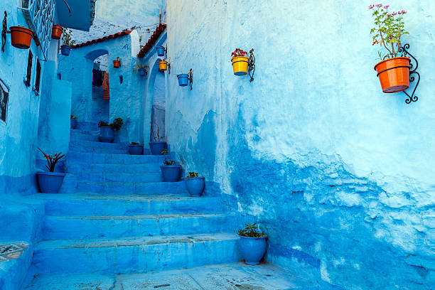 Blue staircase & colourful flowerpots, Chefchaouen,Morocco,North Africa Chefchaouen is a blue city in the north of Morocco. The place is named after the mountain tops behind the village which look like two horns of a goat (chaoua). Chefchaouen is a touristic place with many visitors from all over the world.Morocco,North Africa,Nikon D3x travel destinations photos stock pictures, royalty-free photos & images
