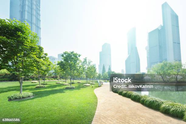 Park In Lujiazui Financial Center Shanghai China Stock Photo - Download Image Now - Public Park, City, Green Color