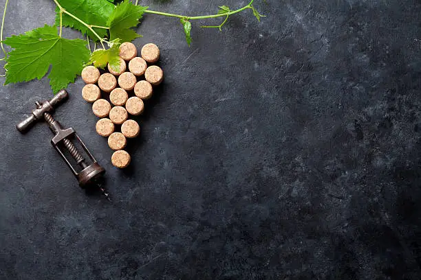 Photo of Wine corks grape shape and vine