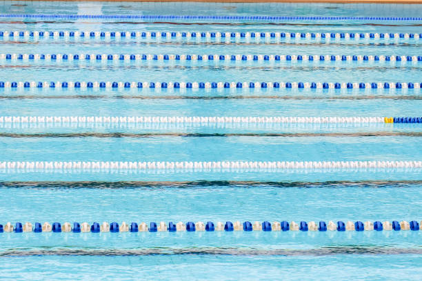 istock Swimming pool for competition with race tracks or lanes 638666802
