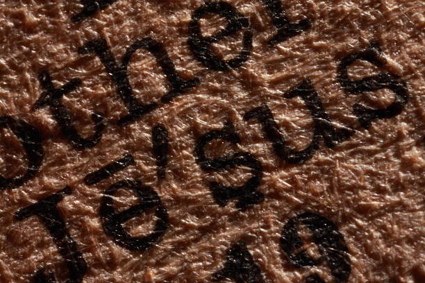 istock Macro Pages of ancient Bible 638667656
