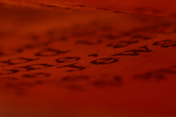 istock Macro Pages of ancient Bible 638667690