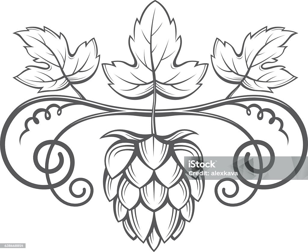 Abstract Hops Image Of Hops Stock Illustration - Download Image Now - Abstract ...