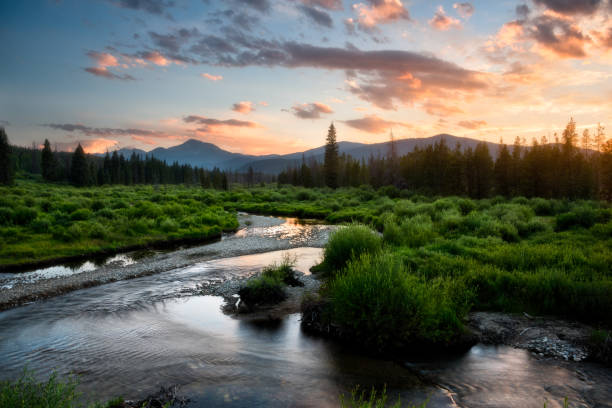 istock Byers Peak Wilderness Area 638673026